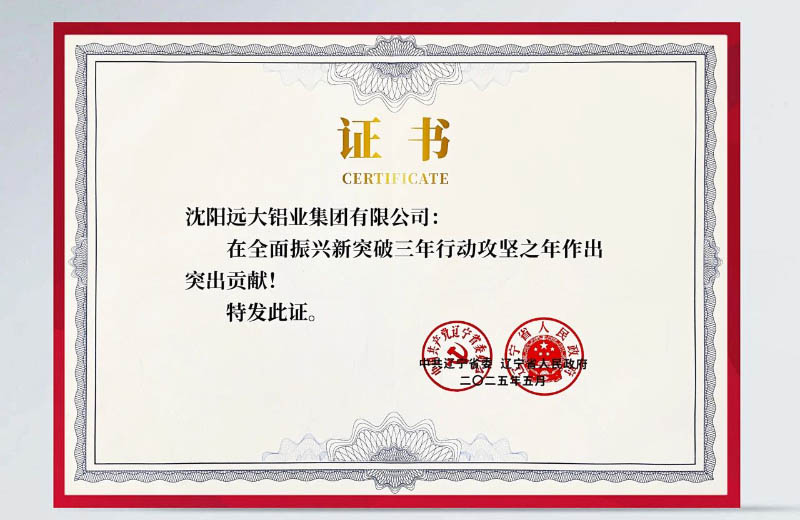 这一年，咱们没白干​​——沈阳远大铝业集团荣获辽宁省委省政府通报表扬
